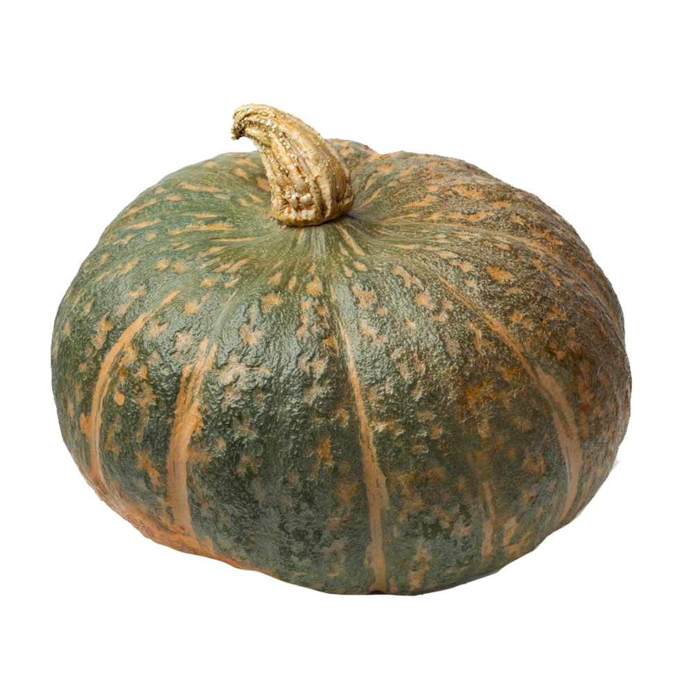 Dýně Delica