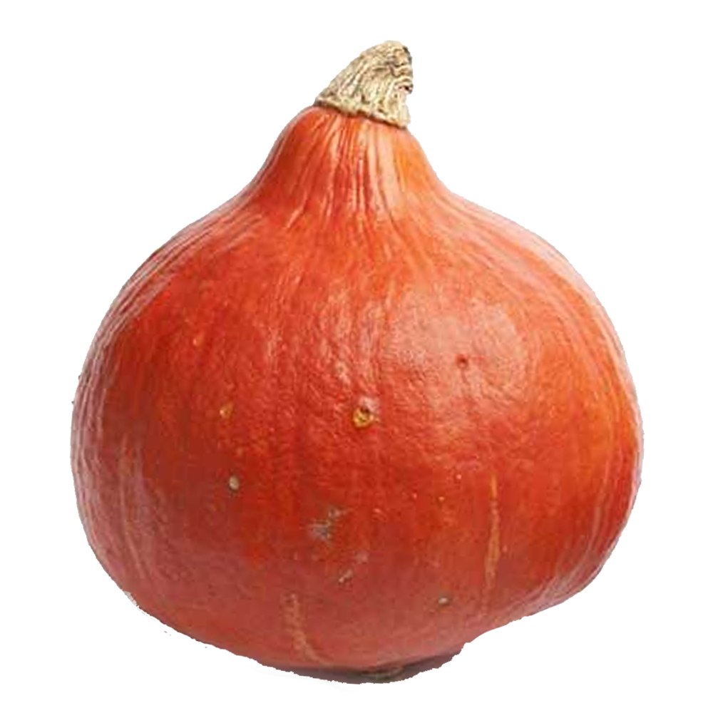 Dýně Hokkaido