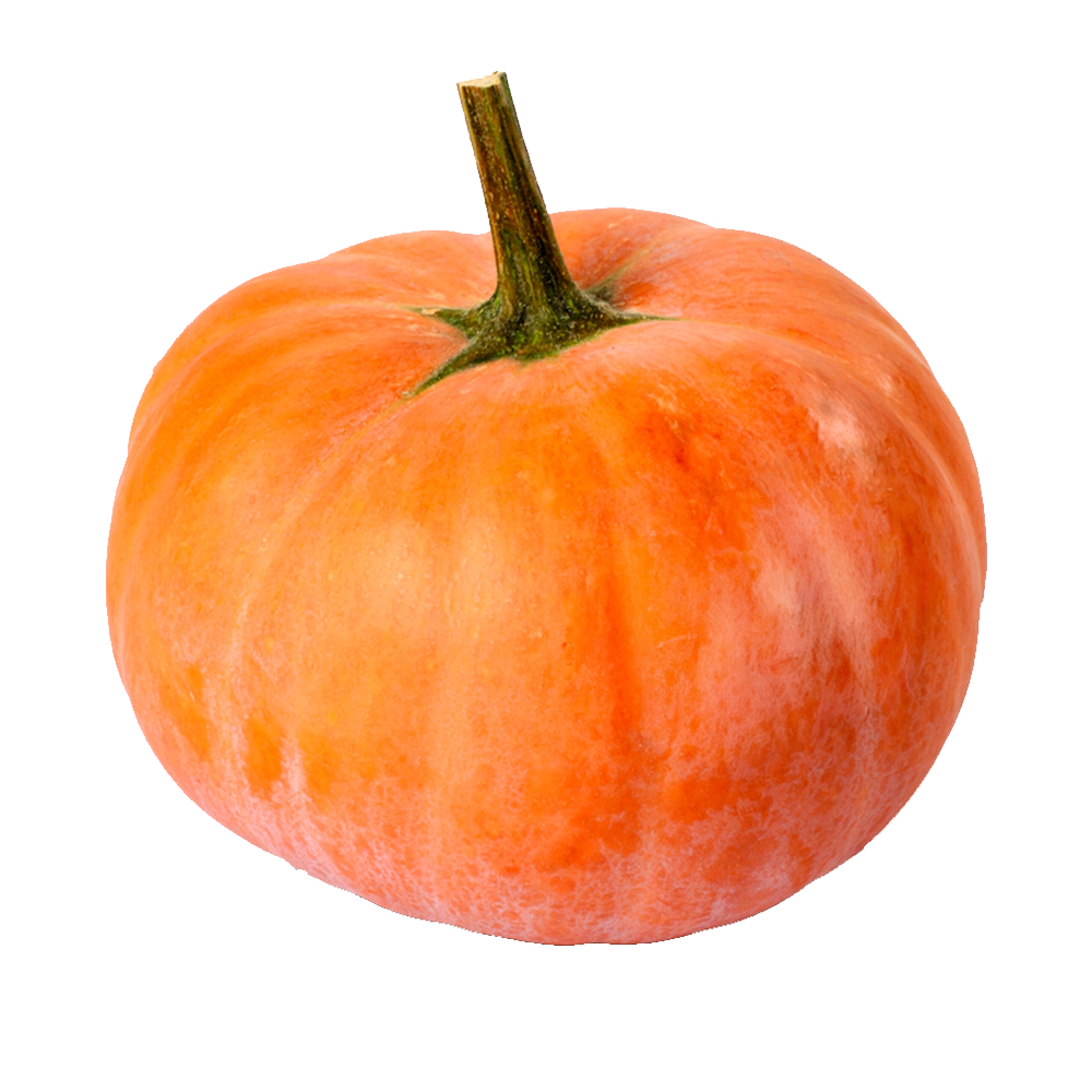 Muškátová dýně
