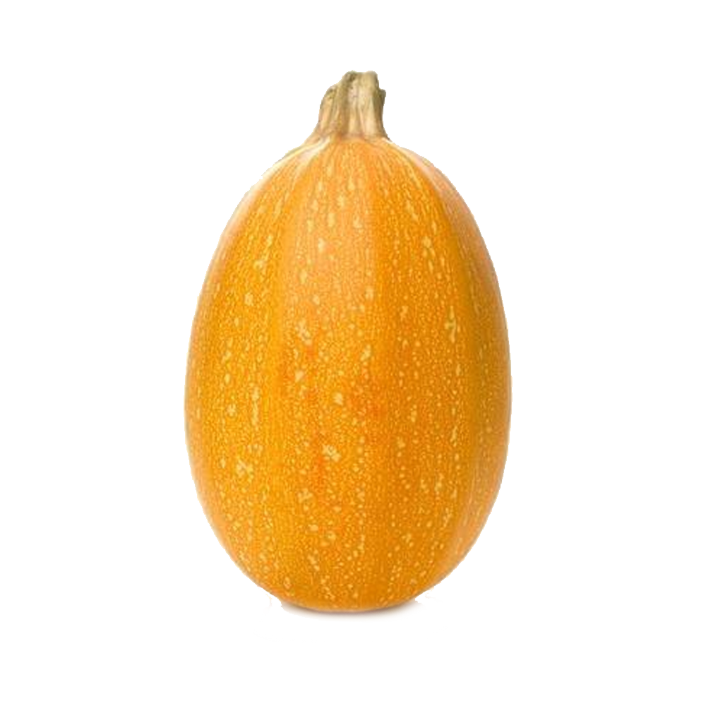 Špagetová dýně