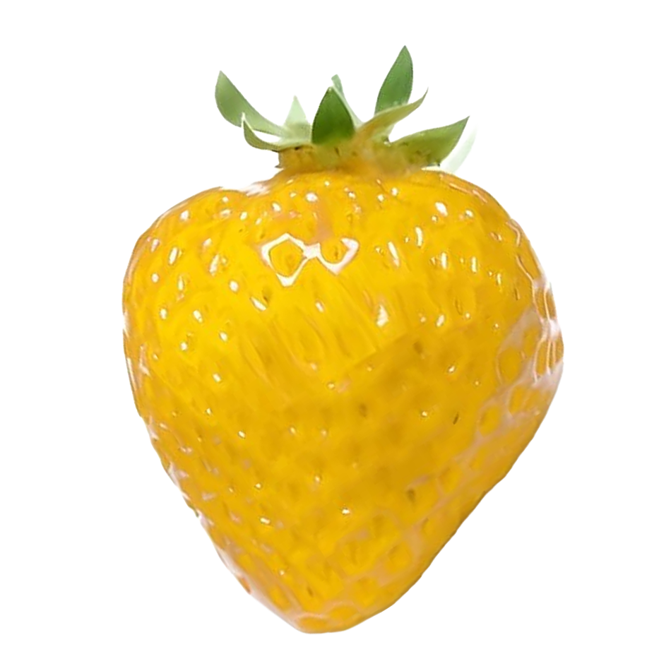 Jahody žluté