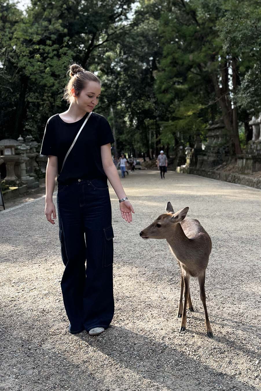 Japonsko Nara