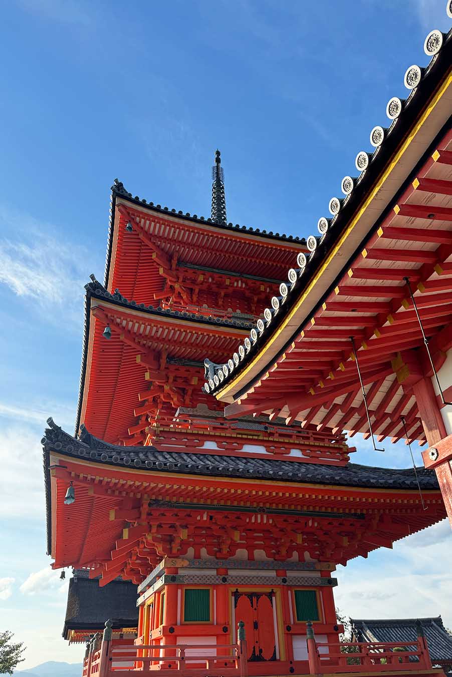 Japonsko pravidlá