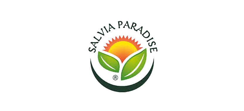 Salvia Paradise