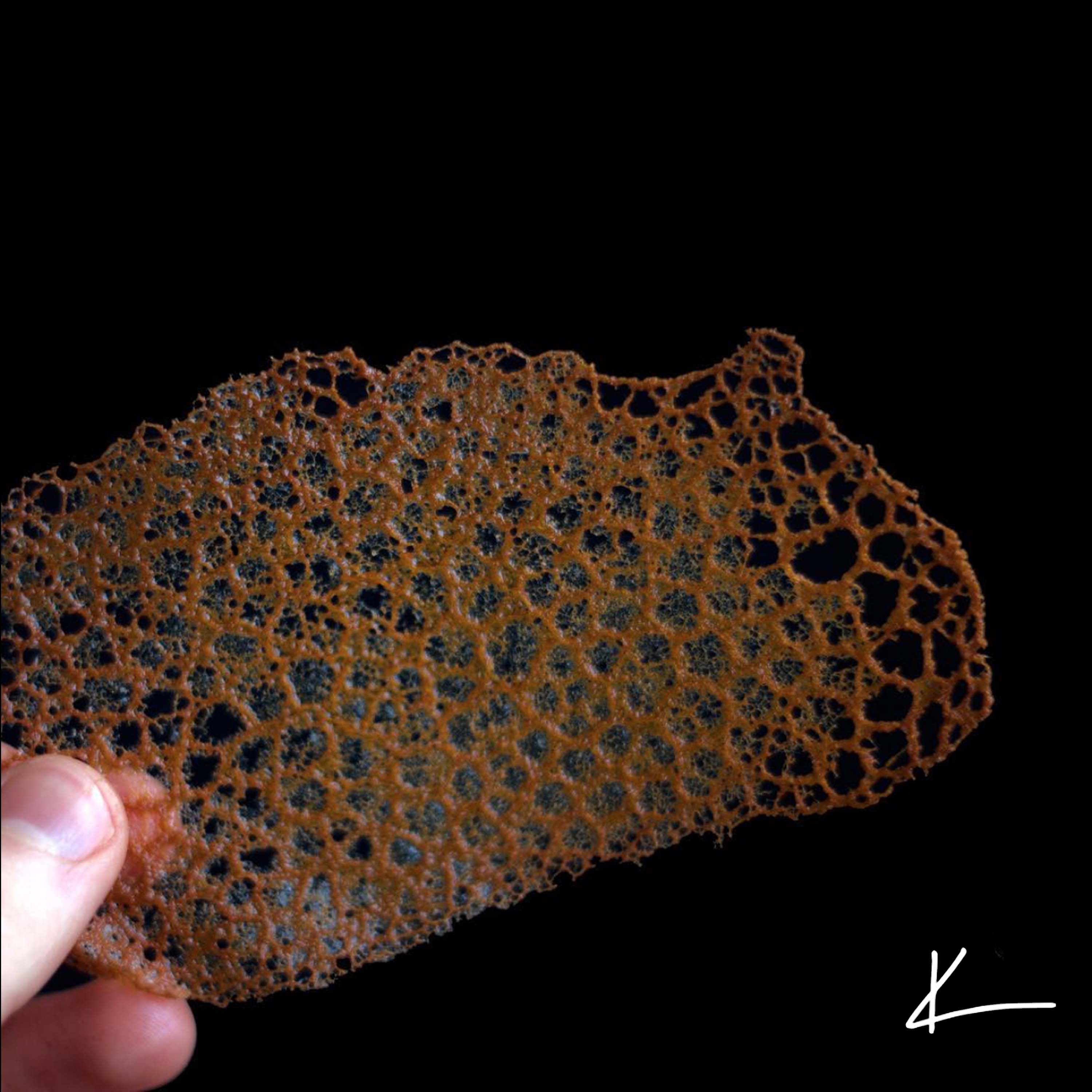 Coral Tuile Chips