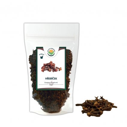 salvia hrebicek2
