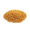 salvia horcice bila4