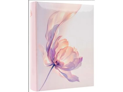 Snímek obrazovky 2025 06 26 192645