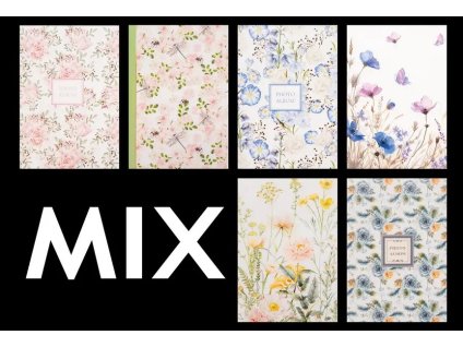 Snímek obrazovky 2026 01 12 111829