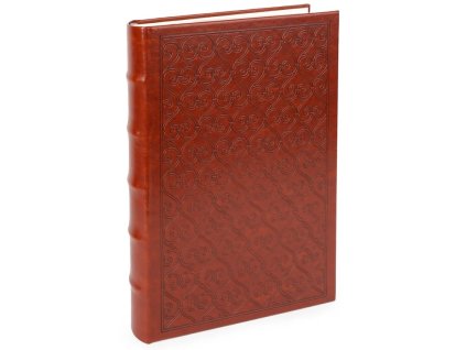 Snímek obrazovky 2026 01 12 135629