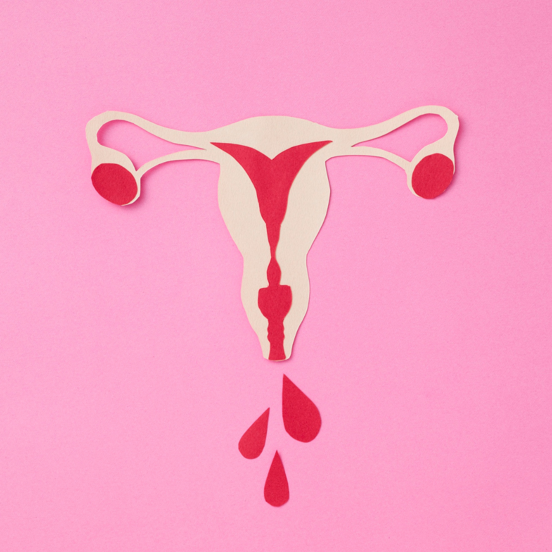 Menstruační cyklus - rozhovor s MUDr. Lucia Hudeková