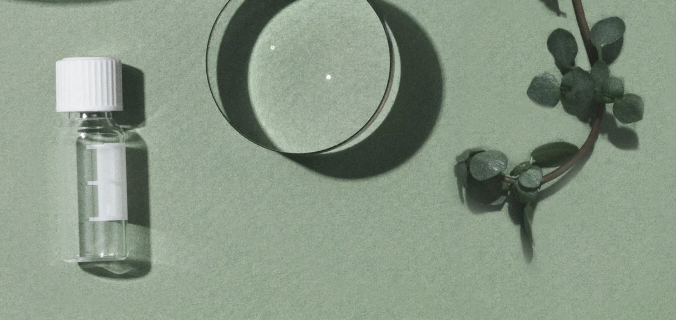 SUPERHRDINOVÉ V PÉČI O PLEŤ: 8 INGREDIENCÍ, BEZ KTERÝCH BY VAŠE PLEŤ NEMĚLA ŽÍT