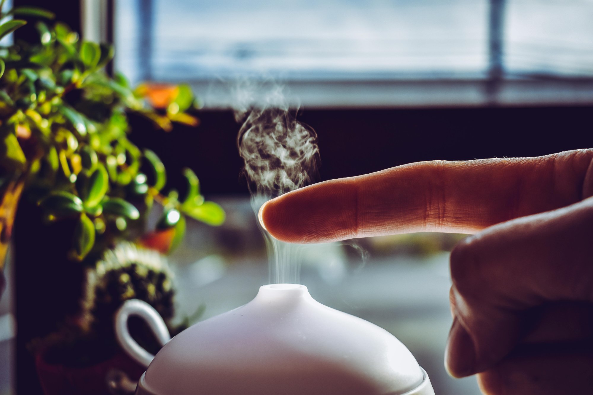 Vše, co jste chtěli vědět o aromaterapii