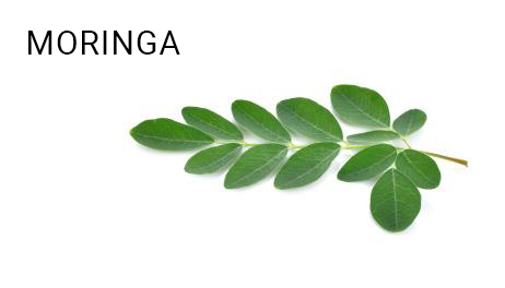 MORINGA