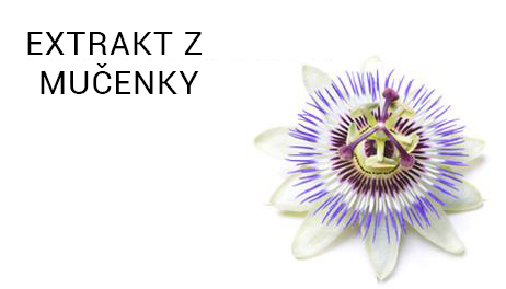 MUČENKA_extrakt