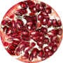 FERMENTOVANÝ ENZYM