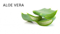 aloe_vera