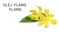 ylang_small