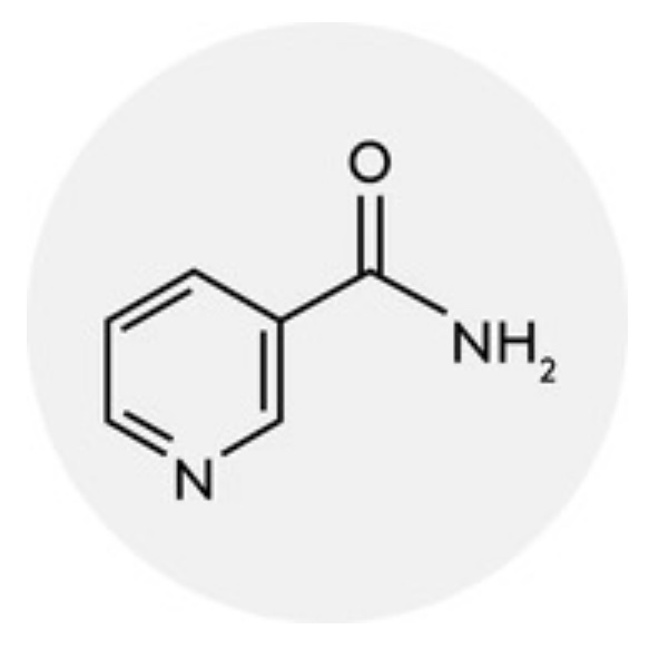 Niacinamid 