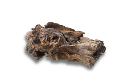 Oud