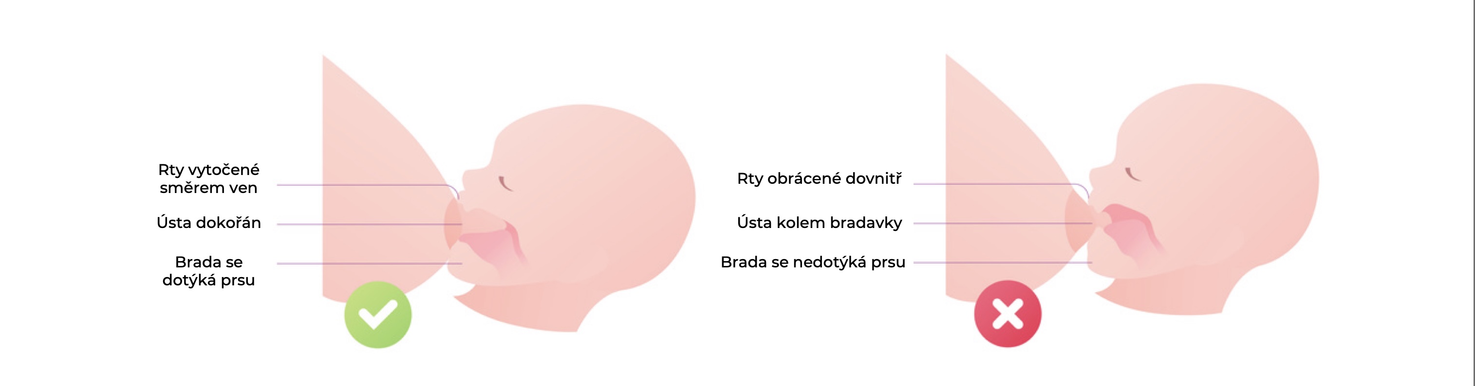 technika přisátí miminka