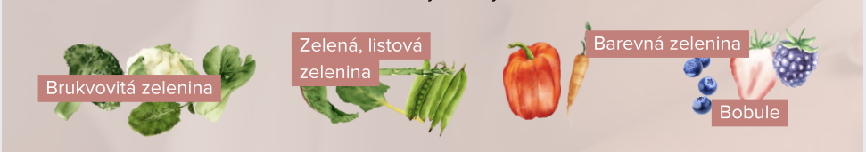 Řízení zánětu