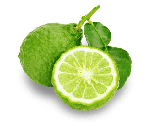 Limetka