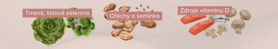 Udržování zdravých kostí