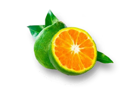 Mandarinka
