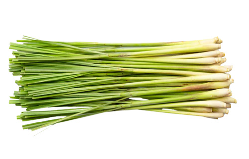Citronella
