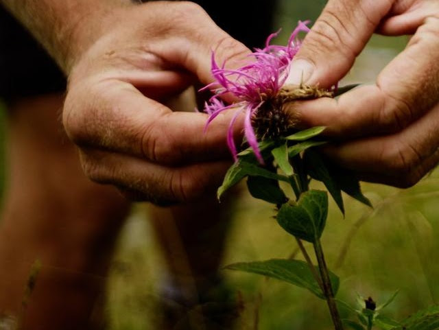 Krém na obličej s SPF a lehká textura