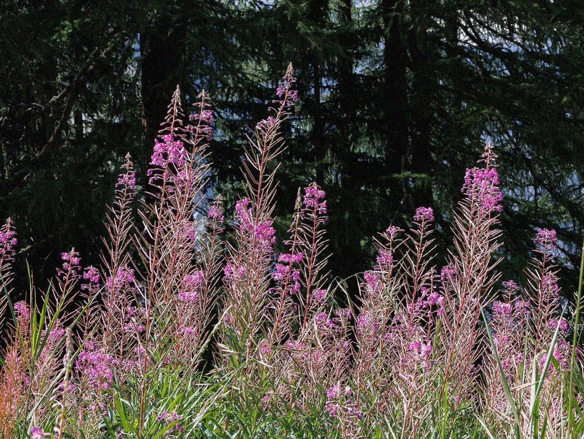 Susanne Kaufmann a bariérová péče o pleť
