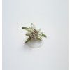 16 ingredient edelweiss square