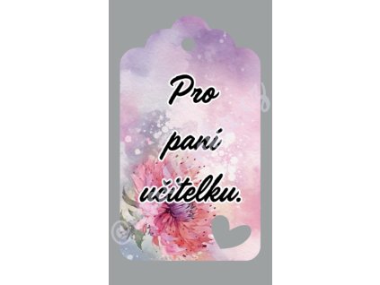 Visačky - pro paní učitelku 12ks