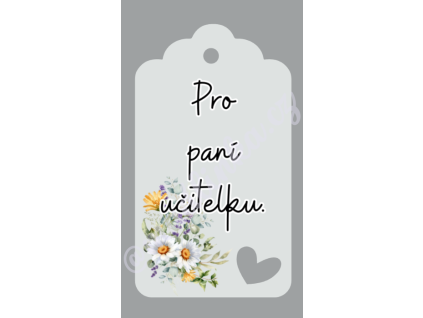 Visačky - pro paní učitelku 12ks