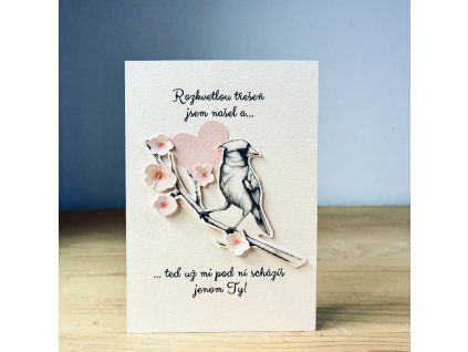 Májové přání z lásky II.