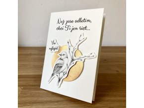 Narozeninové přání (ptáček Budníček)