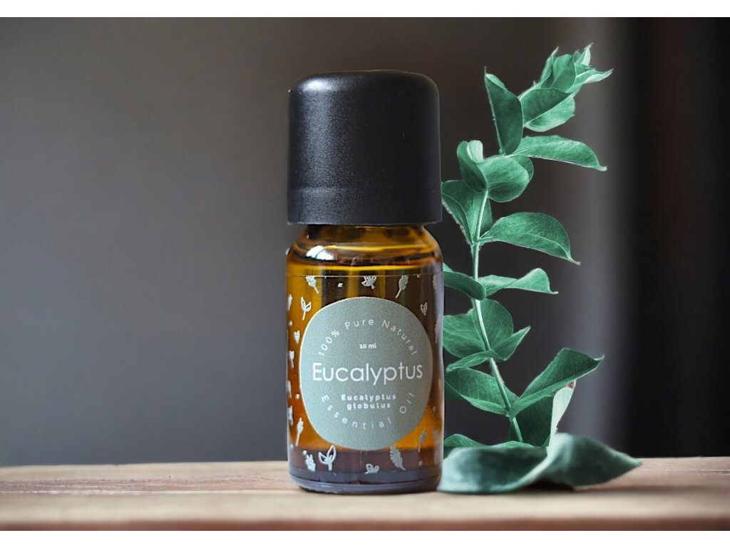 eucalyptus esenciální olej
