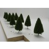 Jehličnatý strom smrk 6cm, 10 ks