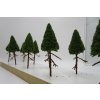 Jehličnatý strom smrk 11cm, 10 ks