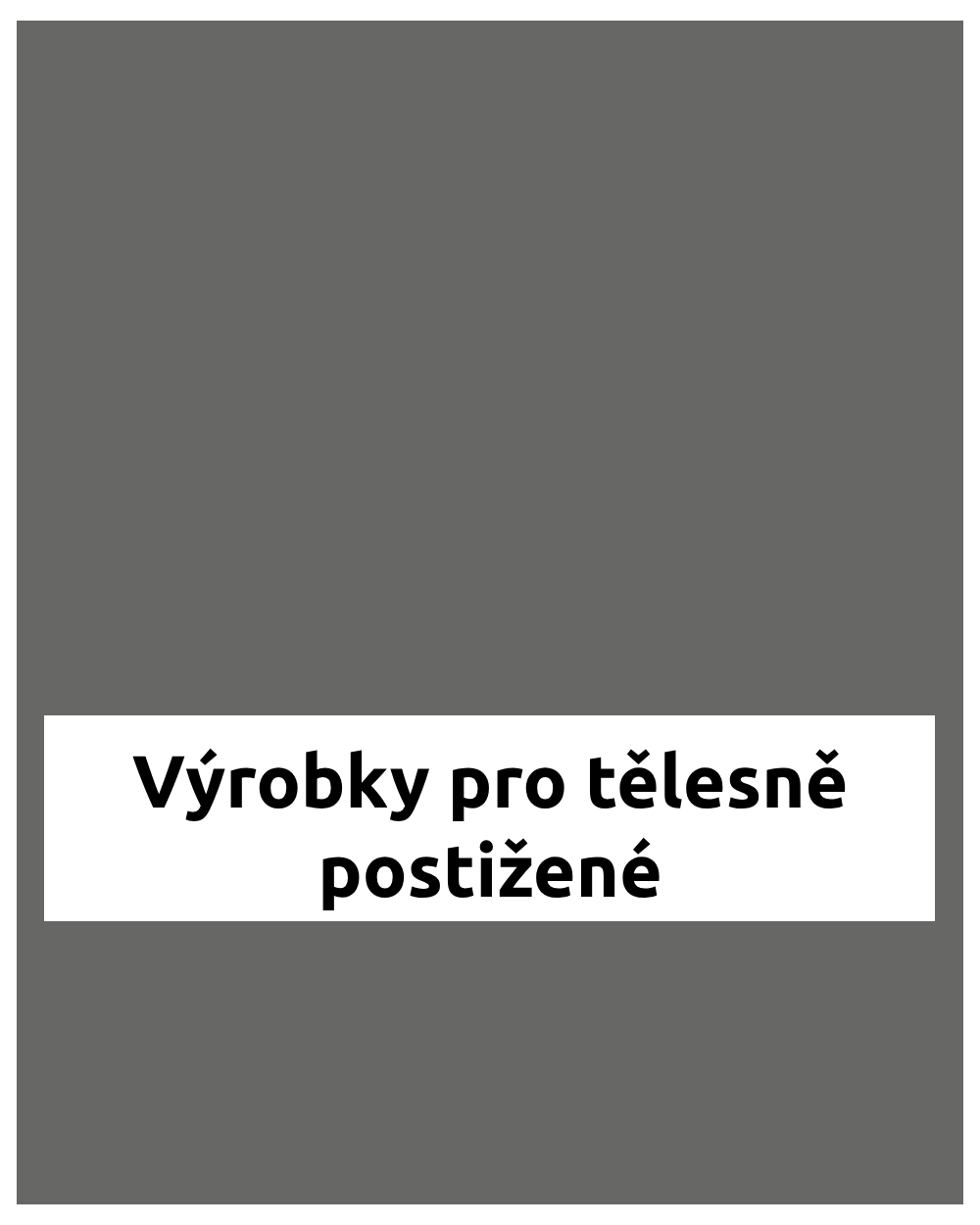 Výrobky pro tělesně postižené