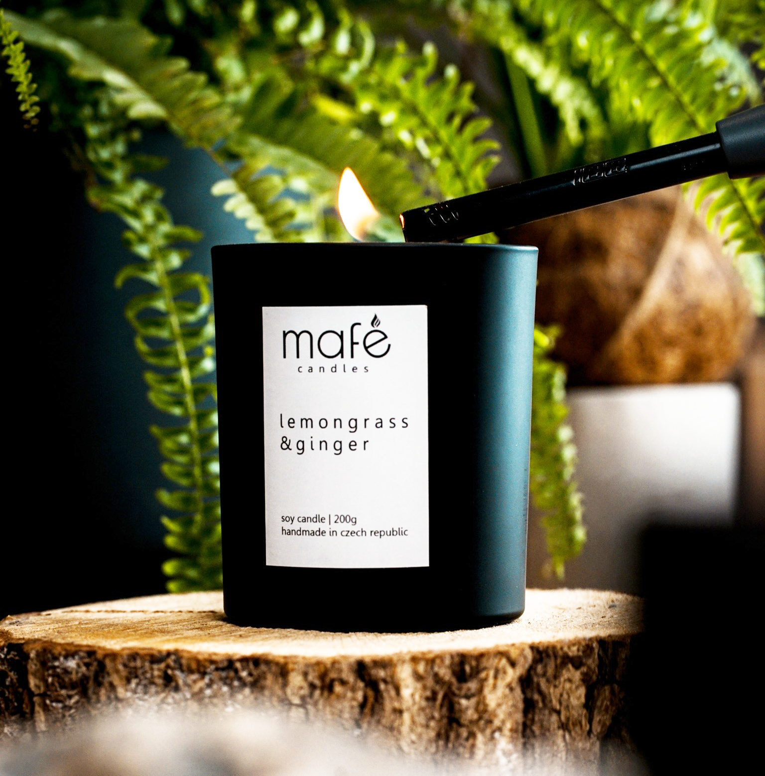 Jak se starat o svíčku?