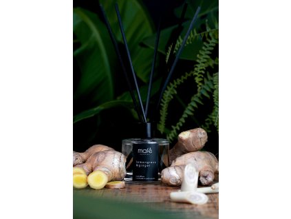 Tycinkovy-aroma-difuzer-bytova-vune-citronova-trava-zazvor-100ml