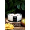 681 sojova svicka mango limetka 700g