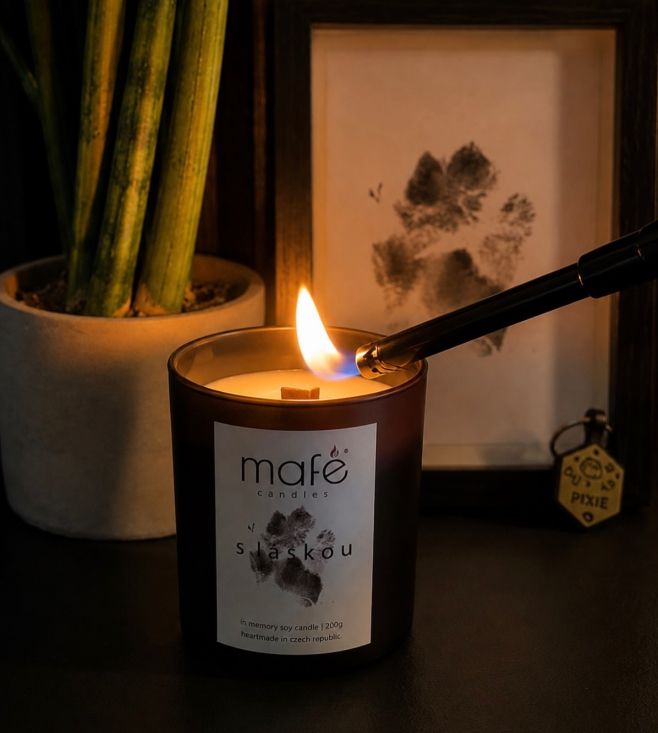 Dnes je Den památky Duhového mostu. 🌈🐾 Některá jména člověk časem nevyslovuje tak často. Ne proto, že by zapomněl. Jen se...