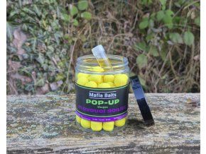 Plovoucí boilies Skopex 100g