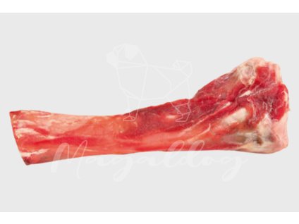 tibia csont (028 31412)