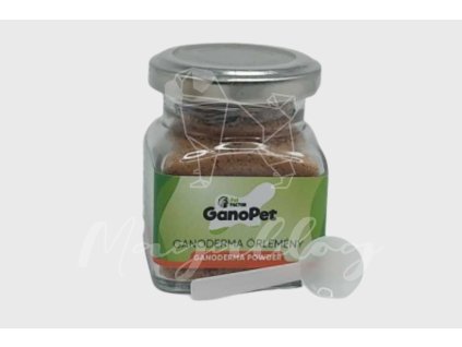 GanoPet Ganoderma gomba por (1)