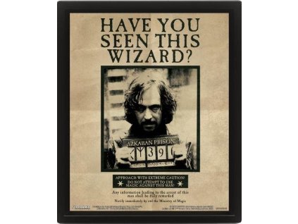 3d obraz harry potter sirius