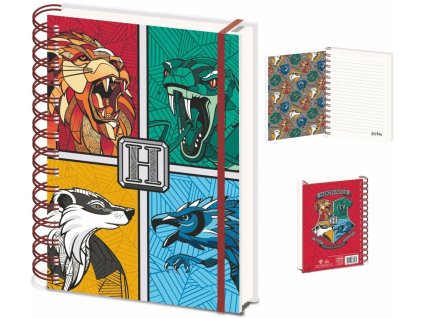 99510976 blok a5 krouzkovy harry potter stand together